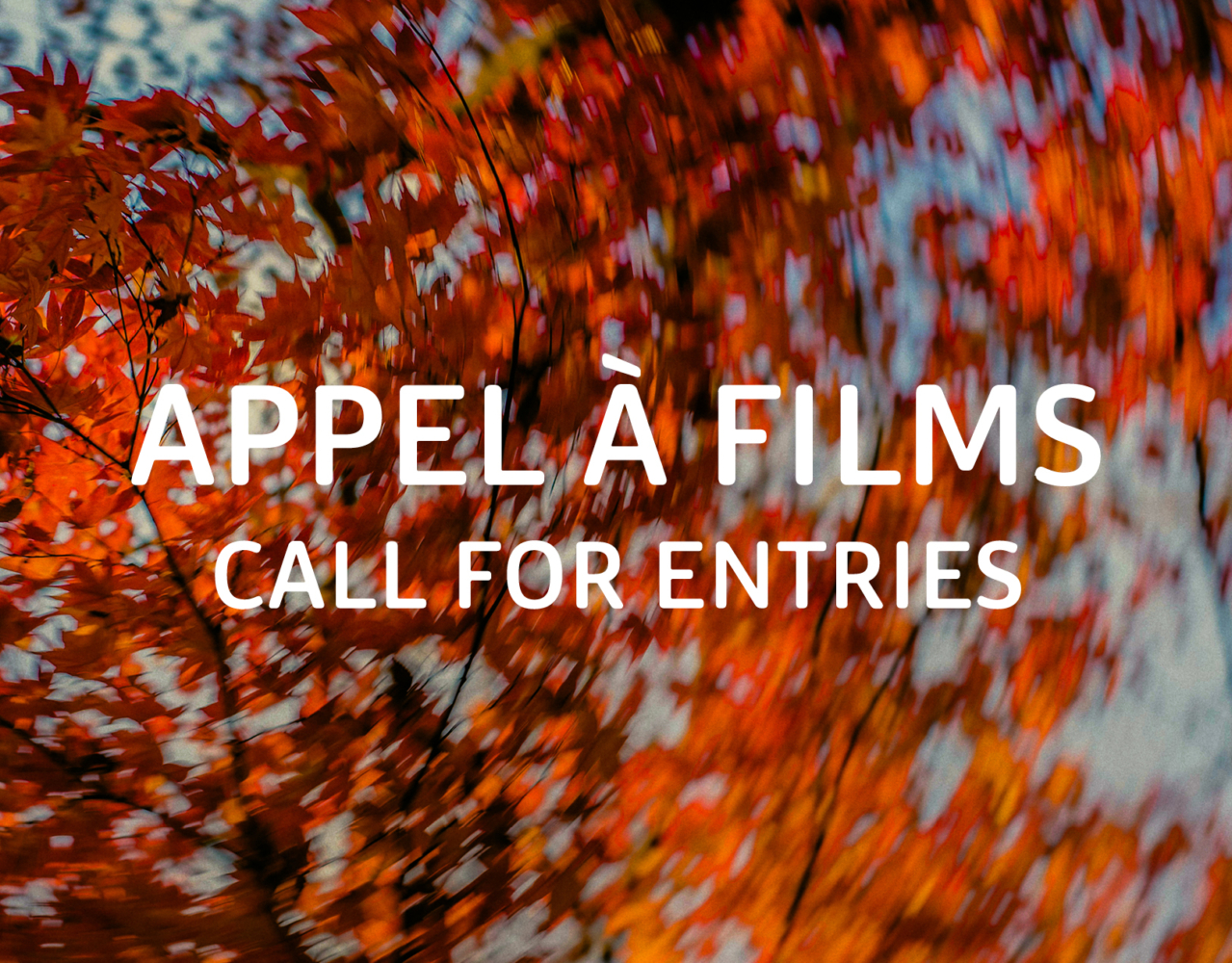 MOSAIQUE VISUEL APPEL A FILMS